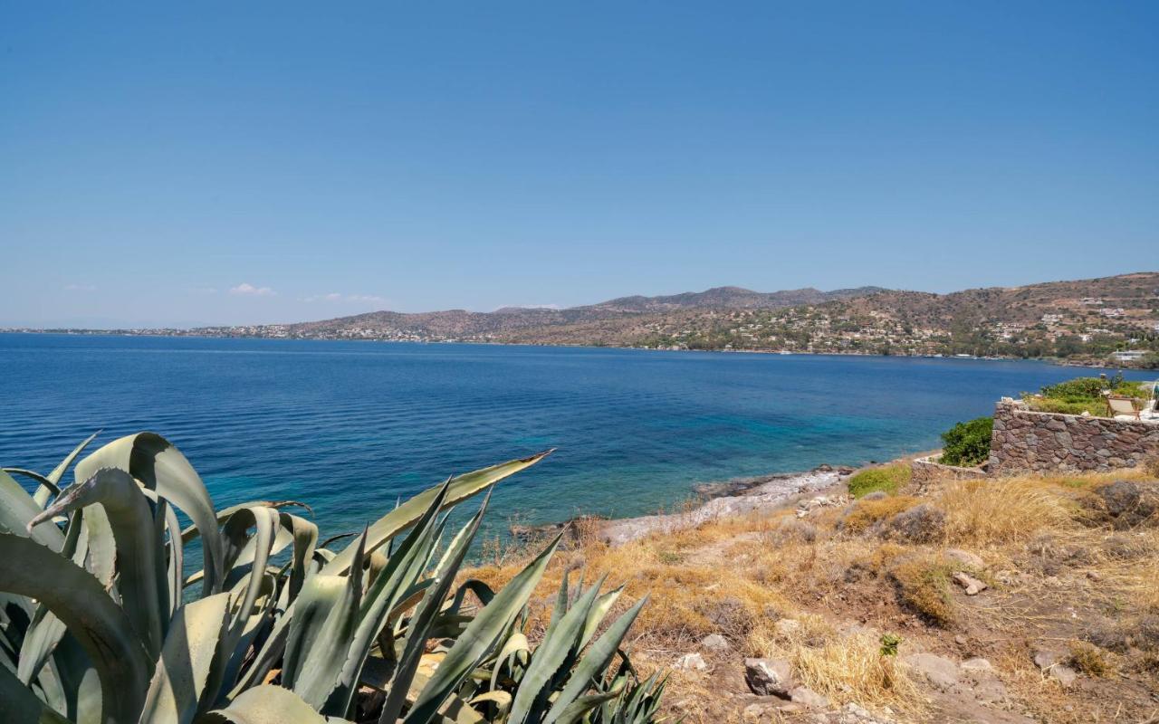 Absolute Perdika Aegina Villa Ngoại thất bức ảnh